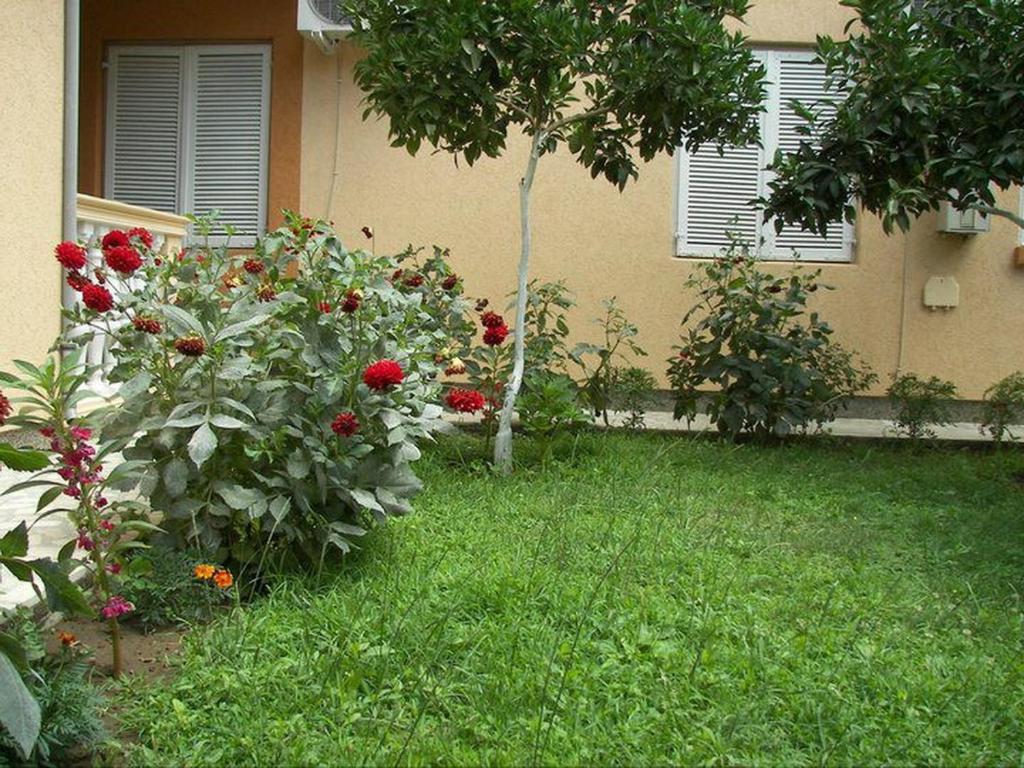 Apartments Dalila Ulcinj Quarto foto